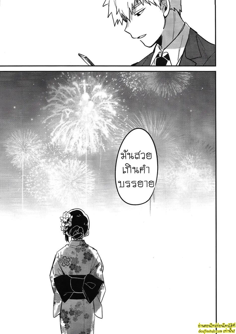 ดอกไม้ไฟแสนงดงาม-43
